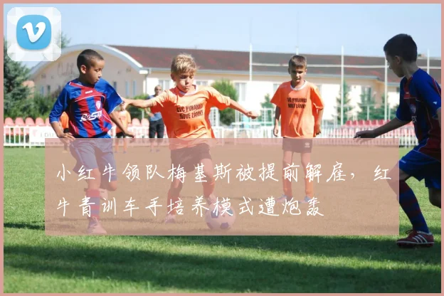 小红牛领队梅基斯被提前解雇，红牛青训车手培养模式遭炮轰